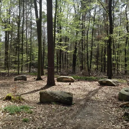 Haus An Der Landhege 別荘 Mainhardt